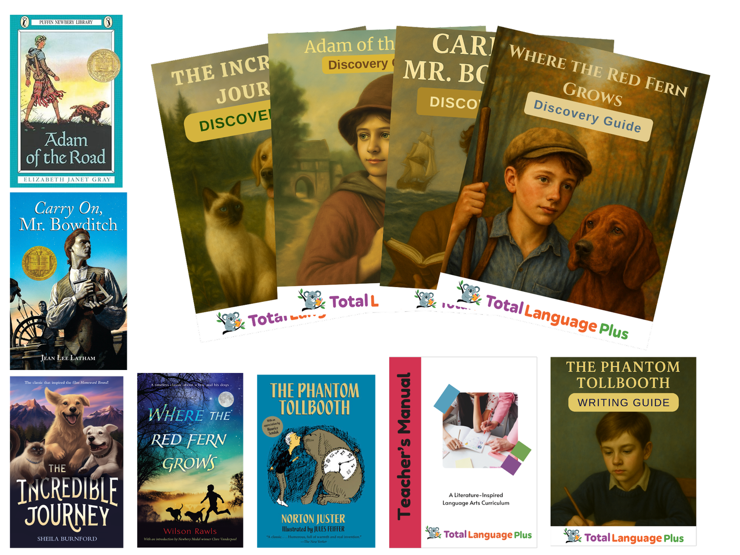 6th Grade Language Arts Package - Total Language Plus